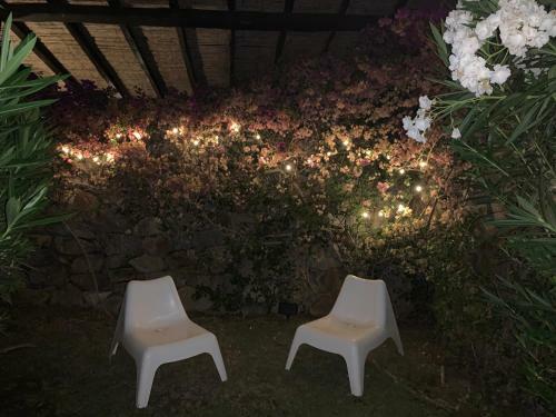 Casa Adelaide, Oasi Di Pace Con Vista Mare