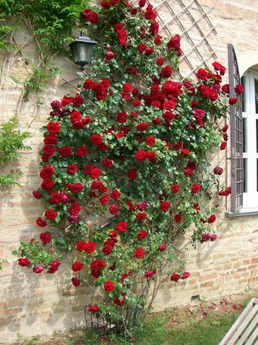 Villa Monterosoli