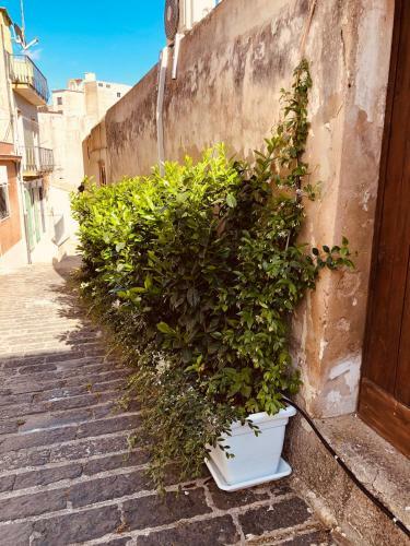 A Casa Da Anita