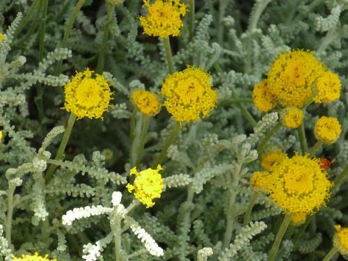 Hotel Son Marimon Adults Only