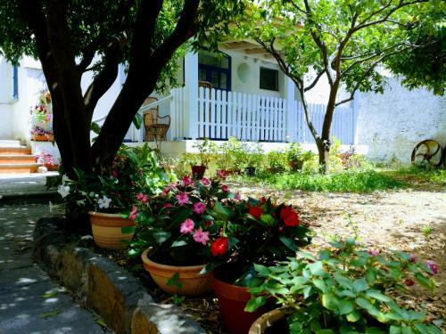 Apartamento Gigia's House