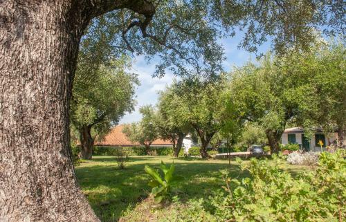 Apartamento Casa Palinuro Vacanze