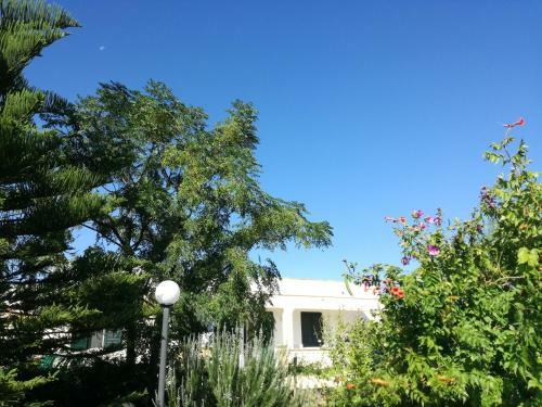 Bed & Breakfast La Lanterna Delle Fate