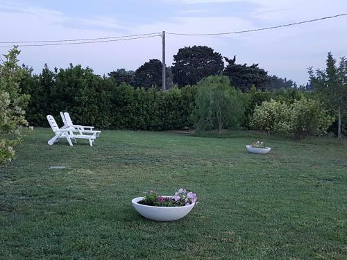 Agroturismo Agriturismo Terra Dei Profumi