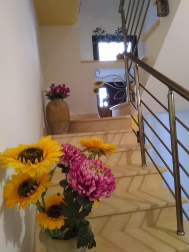 Apartamento Zia Cosi