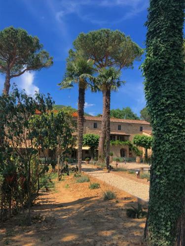 Algioja Apartment Passignano Sul Trasimeno