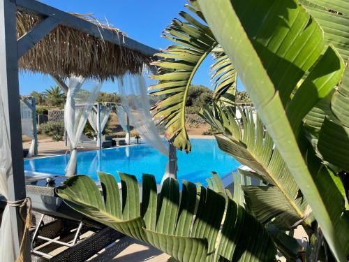 I Dammusini Di Pantelleria