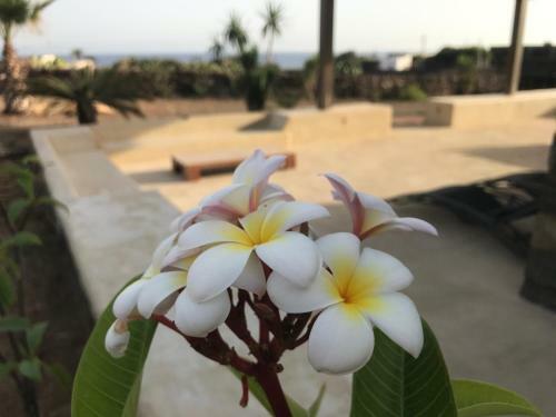 I Dammusini Di Pantelleria