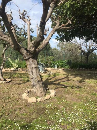 Apartamento L'ulivo In Villa Greco