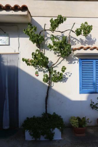 Casa Vacanze Il Glicine