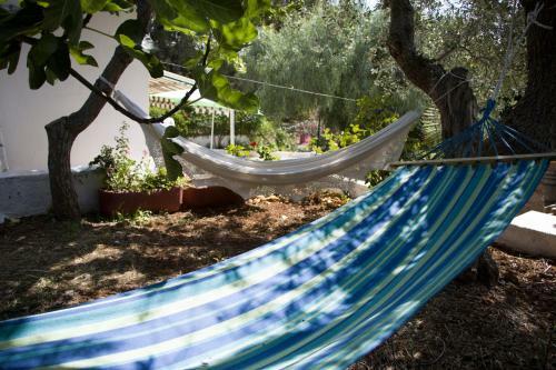 Lodge Ostuni Home Nature