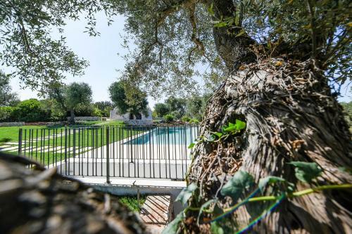 Villa Casale La Pietra Con Piscina