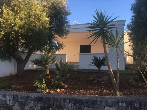 Case Vacanze Adiacenti In Ostuni