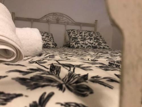 Edyta's Apartment