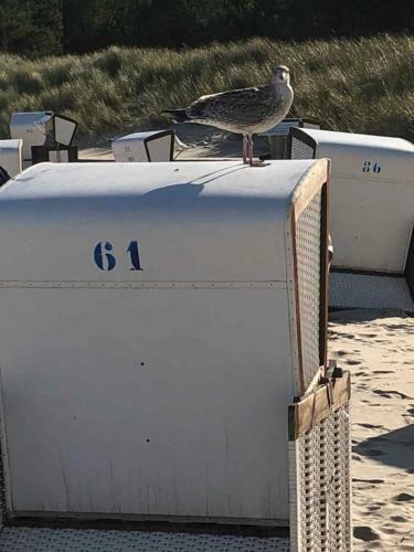 Apartamento Koserow Am Strande