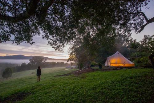 Albergue Nimbin Rox Backpackers Resort Yha