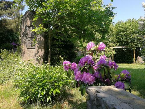 Apartamentos Wandertraum Johann - Fewo Eifel