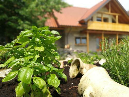 Apartamentos Wandertraum Johann - Fewo Eifel