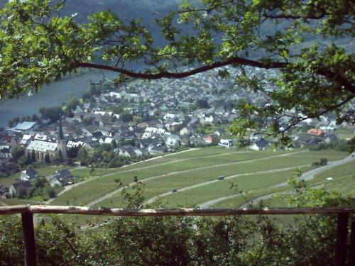 Apartamento G�stehaus Steuer