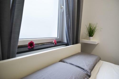 Cozy City Apartment - Near Cologne Fair