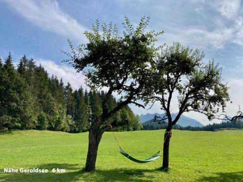 Apartamento Ferienwohnungen Am Kranzbach Fewo1