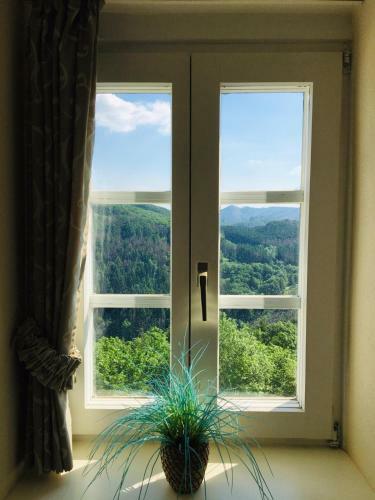 Apartamento Schlo� Wittgenstein