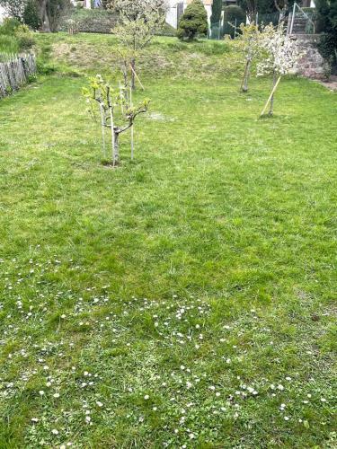 Apartamento Ferienwohnung Lavendel
