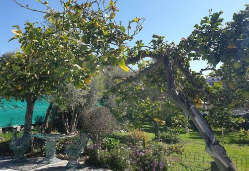 Apartamento El Nido Holiday Cottage With Pool