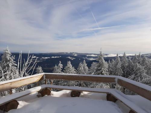Apartamento Ferienwohnung Waldesruh