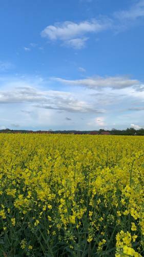 Apartamento Ankerplatz Langballig