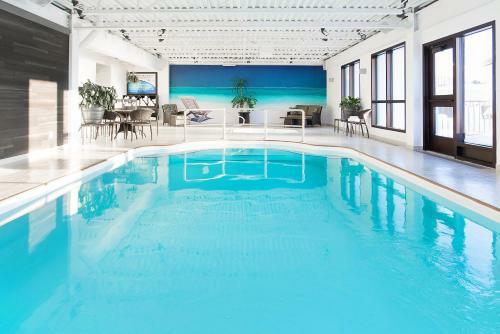 Hotel Universel Alma - Standard