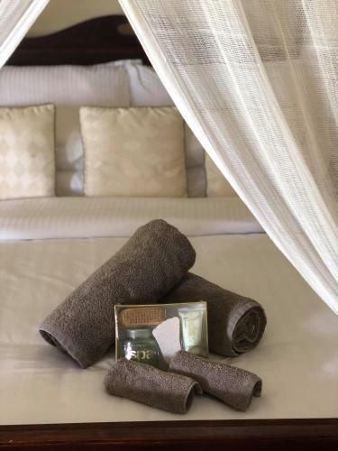 The Bearded Dragon Boutique Hotel