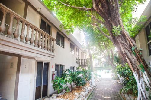 Hotel Suites La Fragua