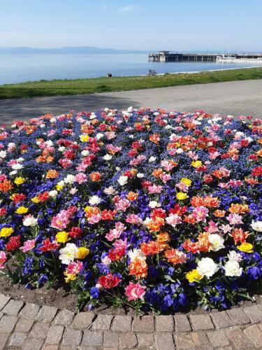 Apartamento Haus Franke