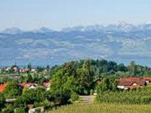 Apartamento Ferienwohnung Wiggermann