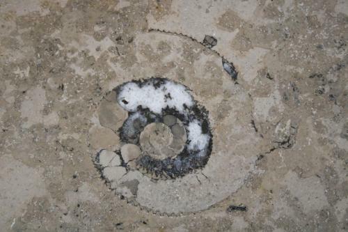 Apartamento Fewo Bayha "lerchenhaus"