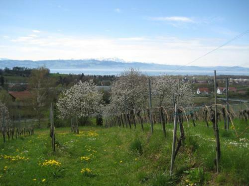 Apartamento Ferienwohnung Ernst-strobl