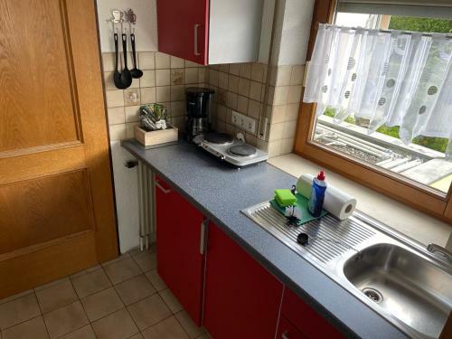 Merkle Apartments In Langenargen