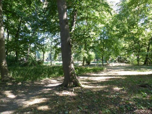 Apartamento Ferienwohnung Mit Brockenblick