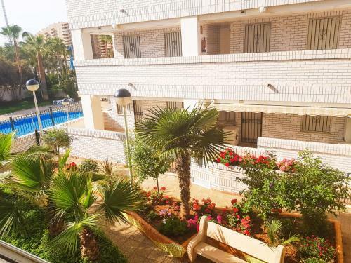 Apartamento Marina Dor Trebol 2