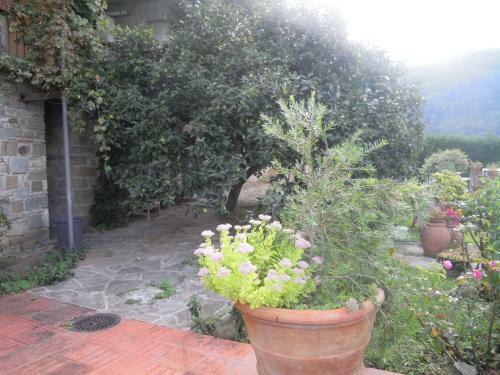 Agroturismo Bel Panorama Tre