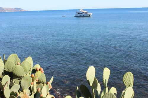 Bed & Breakfast B & B Il Campanile