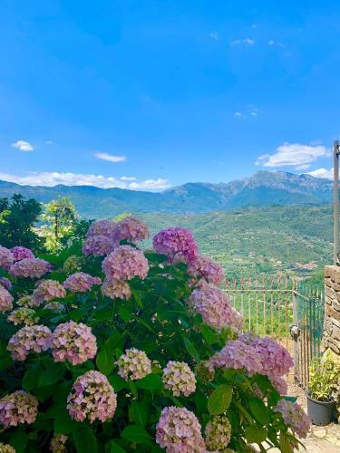 Il Piccolo Giardino