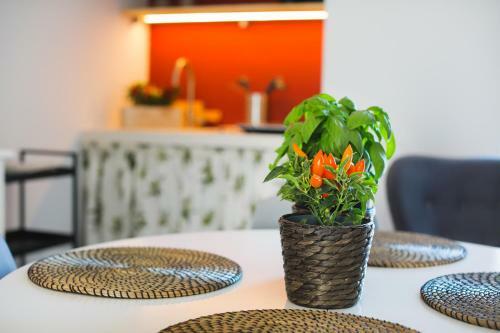 Dimora D'erchia Apulian Holidays