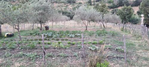 Agroturismo Flyhouse Sicilia