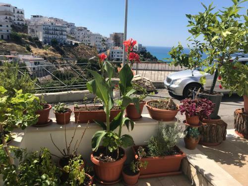 Apartamento Casa Vacanza Sundaville