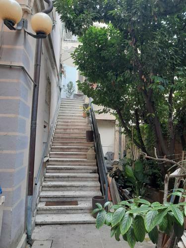 Apartamento Casa In Centro Con Giardino Privato