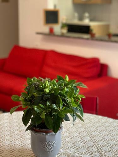 Apartamento La Casetta Di Sas� Intero Appartamento