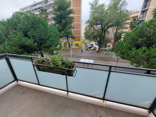 Lovely And Spacious Apartment In The City Centre