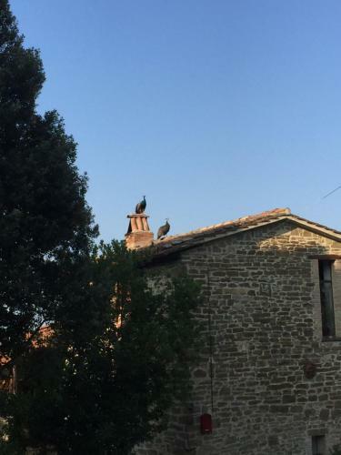 Fattoria Didattica Gli Allori